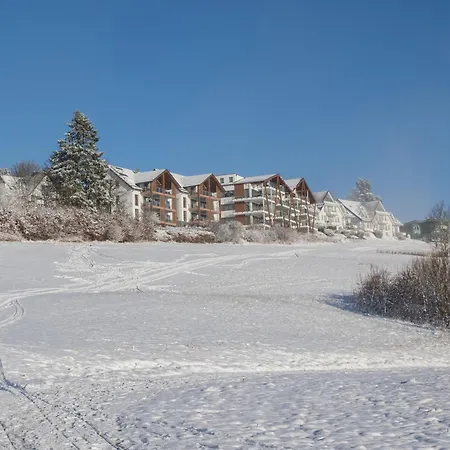 דירה Welcome In - Mit Sauna Und Terrasse An Der Skipiste - Neuastenberg-winterberg