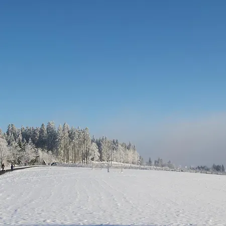 Welcome In - Mit Sauna Und Terrasse An Der Skipiste - Neuastenberg-winterberg
